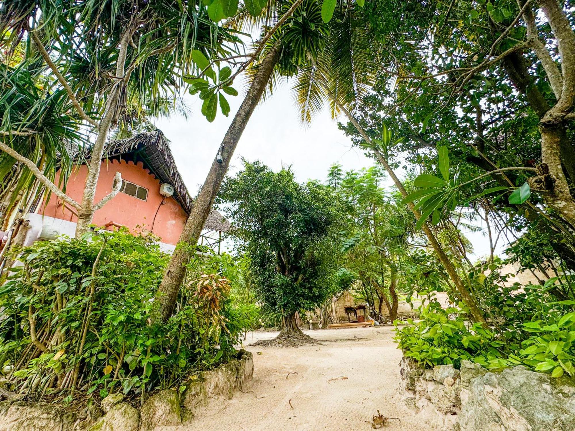 Sagando Bungalows Zanzibar Michamvi Exteriör bild